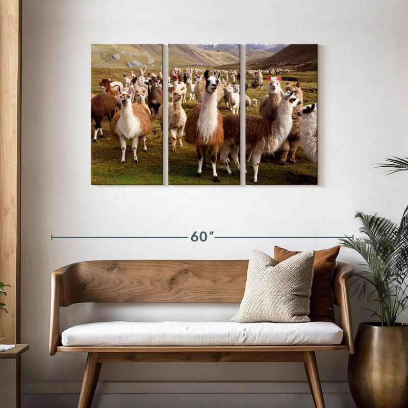 Brampt Llamas And Alpacas, 28" H x 45" W