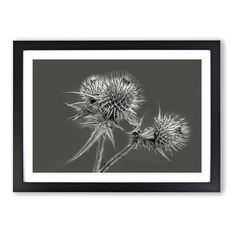 Single Picture Frame Print, Black