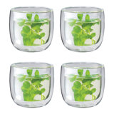 ZWILLING Sorrento 4 -Pc Tea Glass Set 8.1Oz, 240Ml
