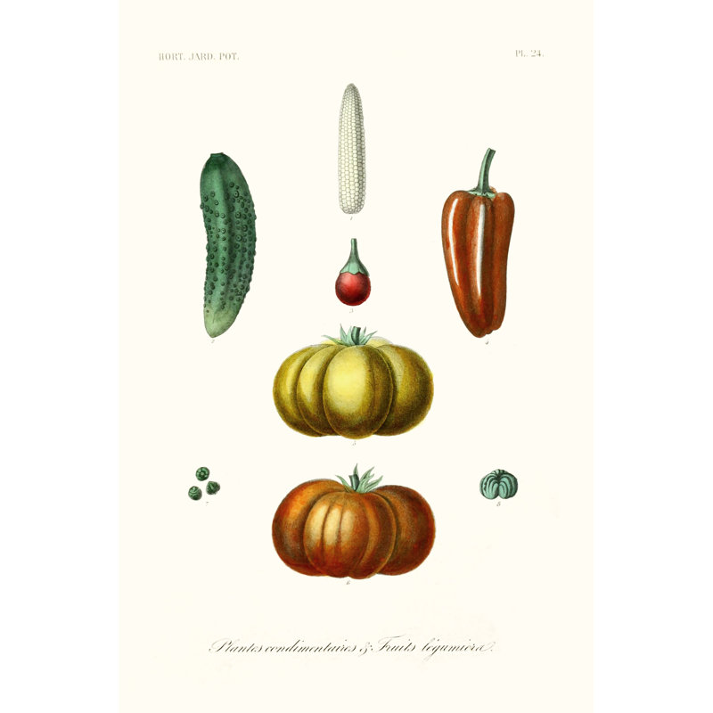 Fruit & Vegetable Varieties III 1 Piece Wrapped Canvas Wall Art, 46cm H x 30cm W x 3.8cm D
