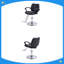 Fauteuil de coiffure hydraulique-129180630-129180629