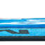 Tapis bleu / rouge Sunny Day-918451337