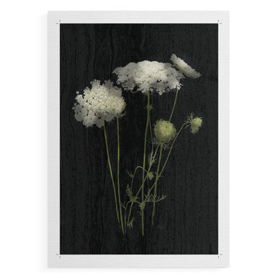 Queens Lace I - Impression sur toile seulement - NON CADRE