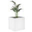 Iveson Planter Box-1566901149