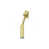 Polished Brass