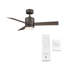 Ventilateur de plafond intelligent d'intérieur / extérieur à 3 pales de 52 po avec télécommande et ensemble d'éclairage à DEL inclus-50617991-118433078-50617995
