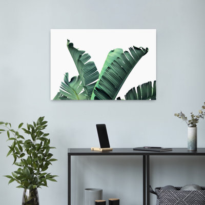 Banana Leaves Abstract Contemporary Wall Art