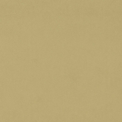 Wardle Velvet Fabric