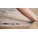 Gilstrap Oriental Indoor Rug