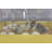 Ovation Chicken Egg Incubator For Up To 50+ Eggs
