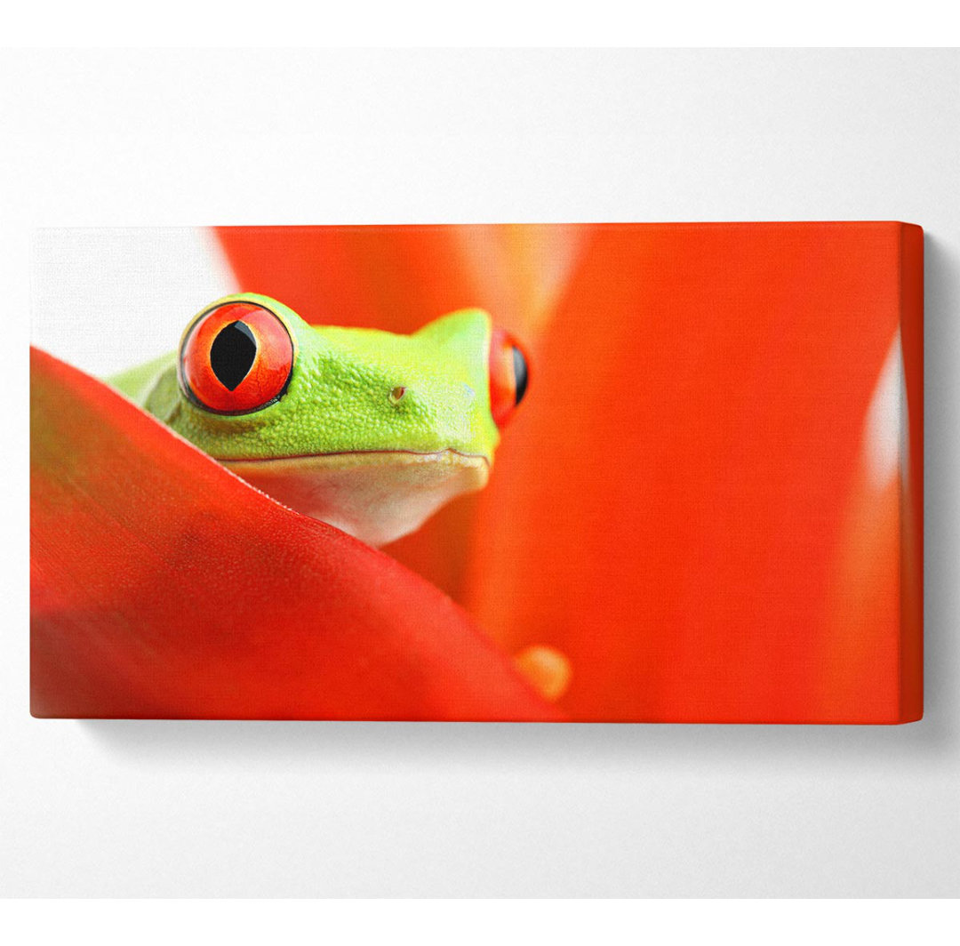 Avelien Red Leaf Frog - Kunstdrucke auf Leinwand