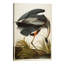Great Blue Heron by John Audubon - Painting on Canvas-433306379-470315204
