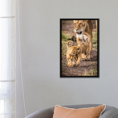 " Maasai Mara National Reserve; Narok County; Kenya V " by Alex Buisse