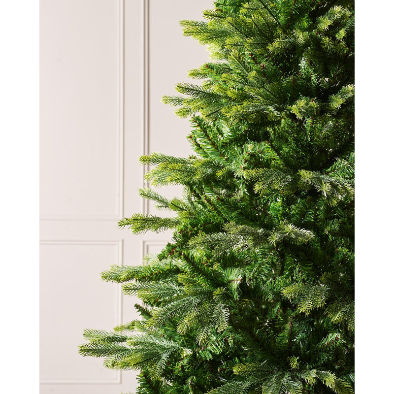 8' H Himalayan Fir Christmas Tree