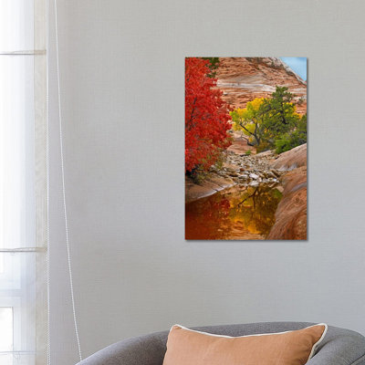 Maple And Cottonwood Autumn Foliage, Zion National Park by Tim Fitzharris - Wrapped Canvas Print