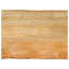 Vidaxl Table Top 39.4x15.7x1.5 In Solid Wood Mango-102730548