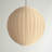 Raina 1 - Light Single Pendant