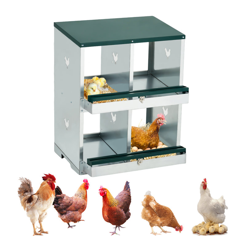 Boîte à nid de poule avec grand trou ventilé de 12 po x 11 po, boîtes à œufs en métal à deux niveaux avec 4 compartiments Boîte à œufs pour collection d'œufs