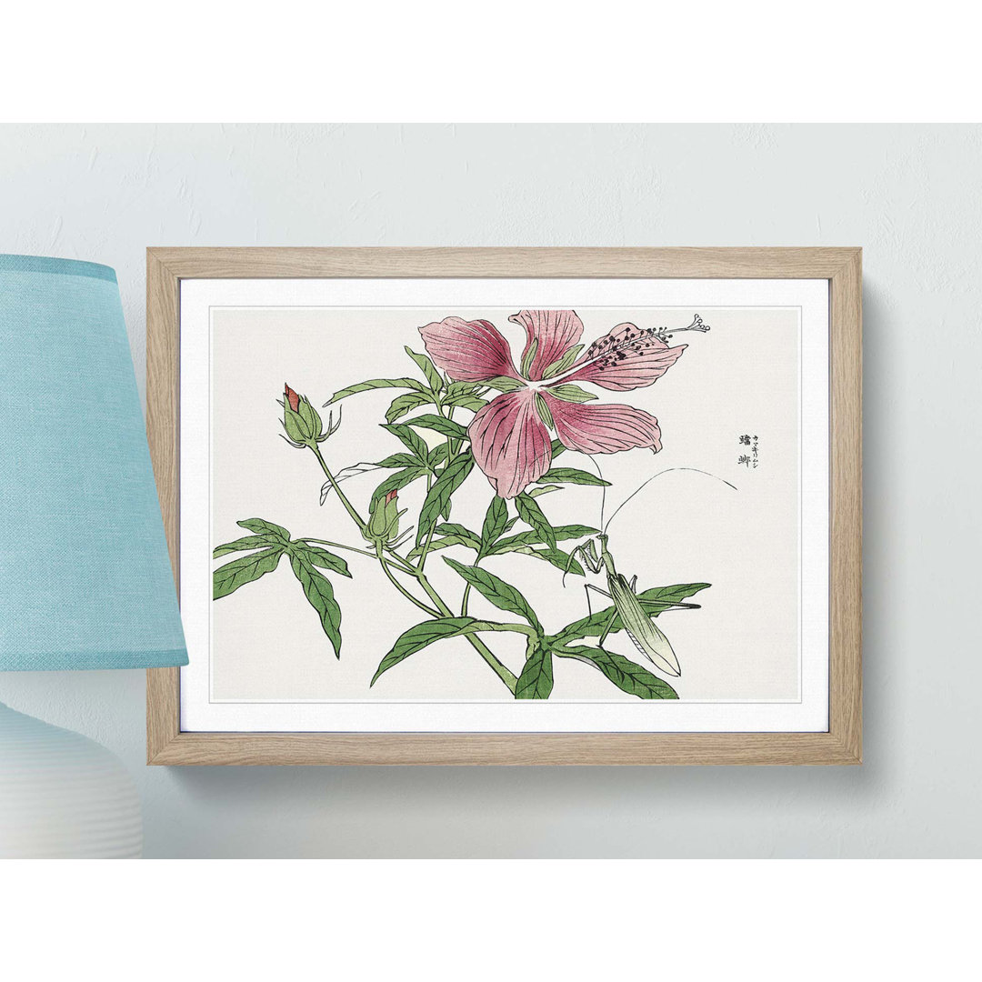 Praying Mantis & Pink Flower by Morimoto Toko - Framed Print