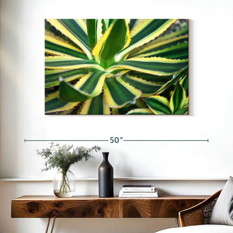 Harnek Pure Agave