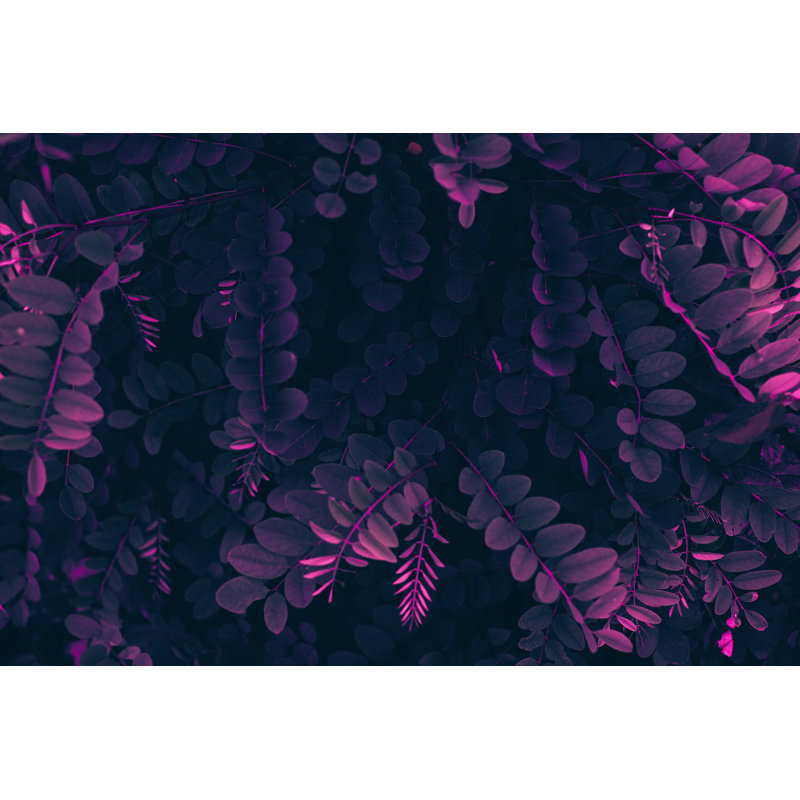 Fond de feuilles mauves par Jasmina007, H 8 po x l 12 po