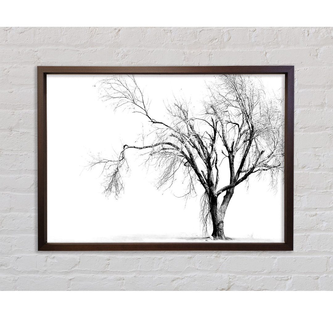 Cold Winter Tree - Einzelner Bilderrahmen Kunstdrucke auf Leinwand