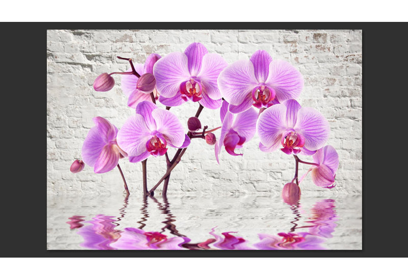 Purple Delight 245cm x 350cm Wallpaper