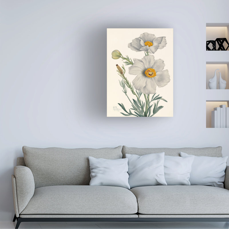 Art sur toile coquelicot bolognaise, Mary Vaux Walcott, H 47 po x l 35 po
