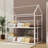 Amberboi Standard Bunk Bed by Harper Orchard-1702644061