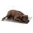 Outdoor Pet Bed Accessory-280999448