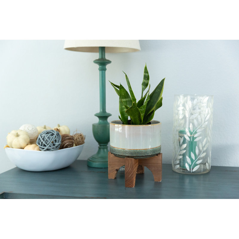 Pot de fleurs en céramique Nayeli, Bleu, H 6,12 po x l 6,25 po x P 6,25 po