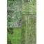 Overdye One-of-a-Kind 8'3" X 11'6" Area Rug