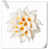Blanc / orange est en rupture de stock