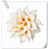 White/Orange is out of stock selected