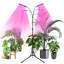 Plantes à DEL 4 têtes