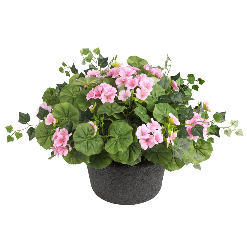 Adjustable Height Pink Geranium Urn Filler, Set of 1