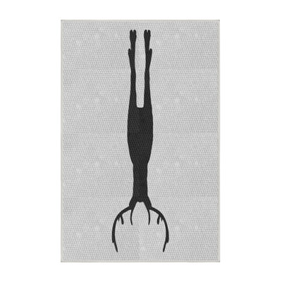 Indoor Rug