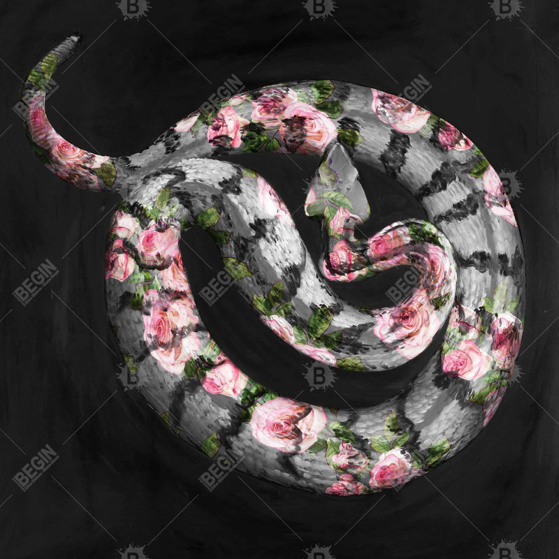 " Poisonous Flowers "