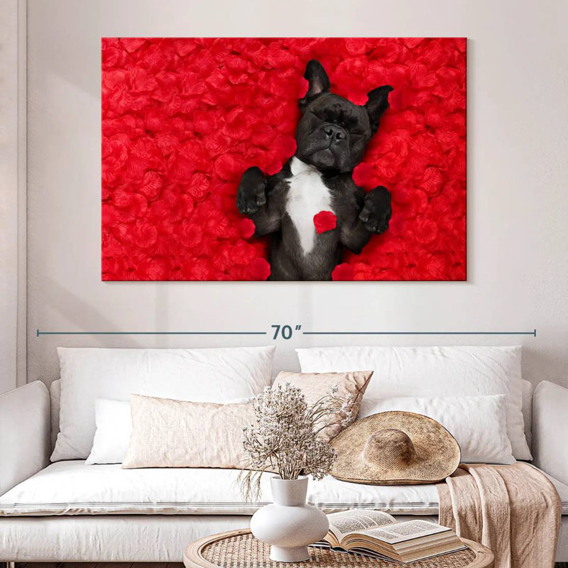 Bouledogue français Brampt Valentines, H 34 po x l 51 po