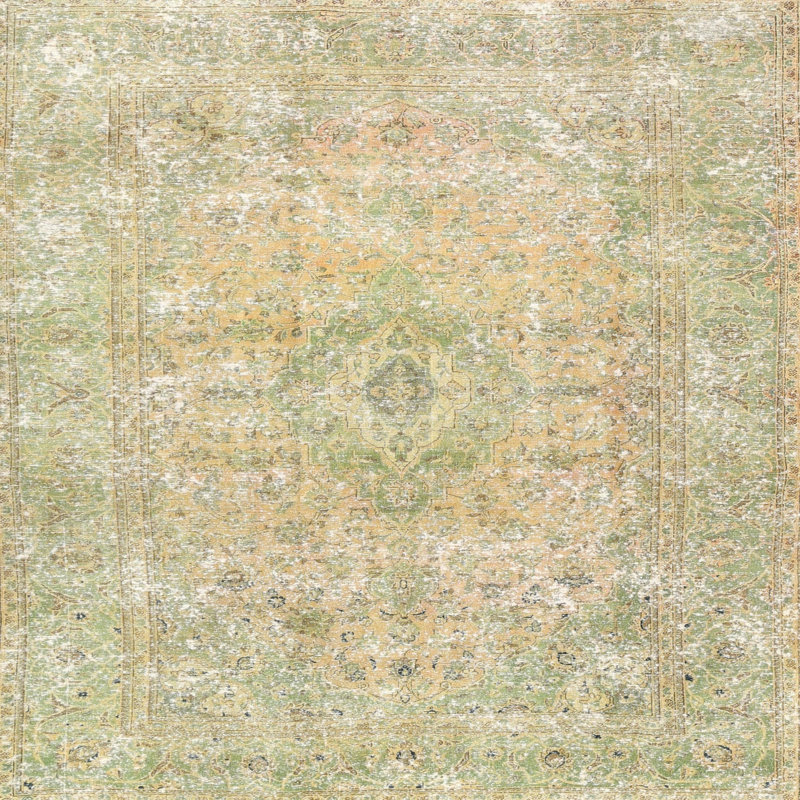 Evelien Oriental Indoor Rug, Square 5'