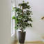 Arbres artificiels pour la décoration d'intérieur-1154188466
