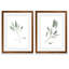 Simple sauge - ensemble de 2 reproductions d'art encadrées-1578471018-1578471021-1541205131
