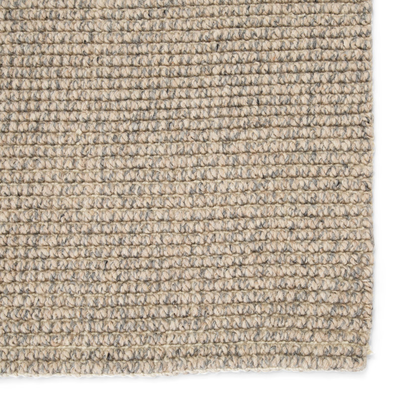 Chael Area Rug in Light Gray, Rectangle 2' x 3'