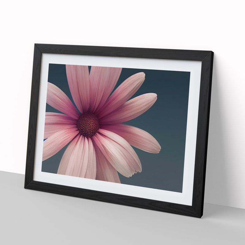 Cute Daisy Flower - Single Picture Frame Painting, 46cm H x 64cm W x 2cm D, Black