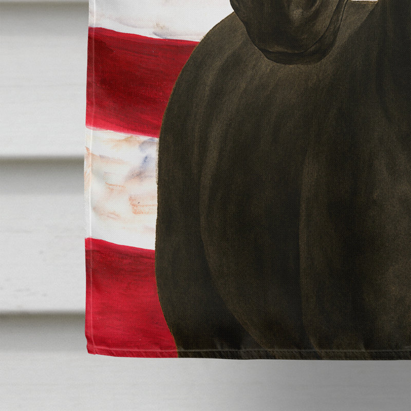 Drapeau de la maison américaine du cheval Paso Fino noir, Taille de la maison, Cheval - Paso Fino - Noir