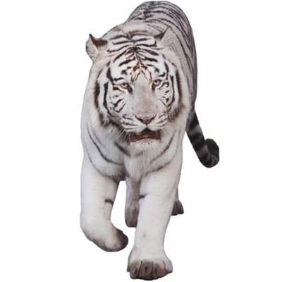 Animals Non-Wall Damaging Wall Decal