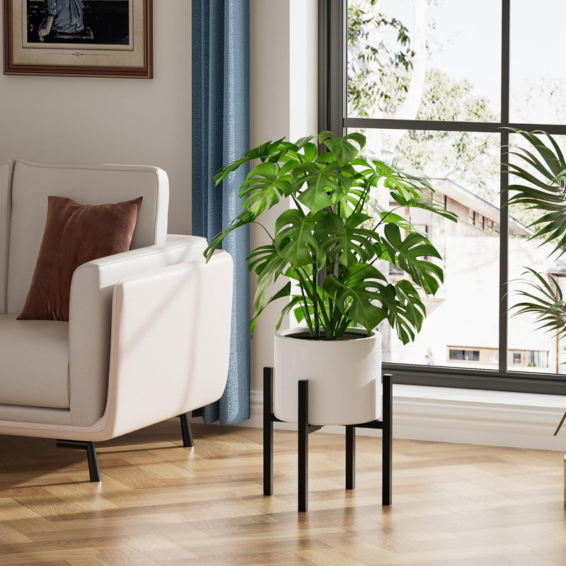 Plant Stand