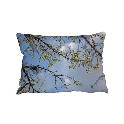 Cushion