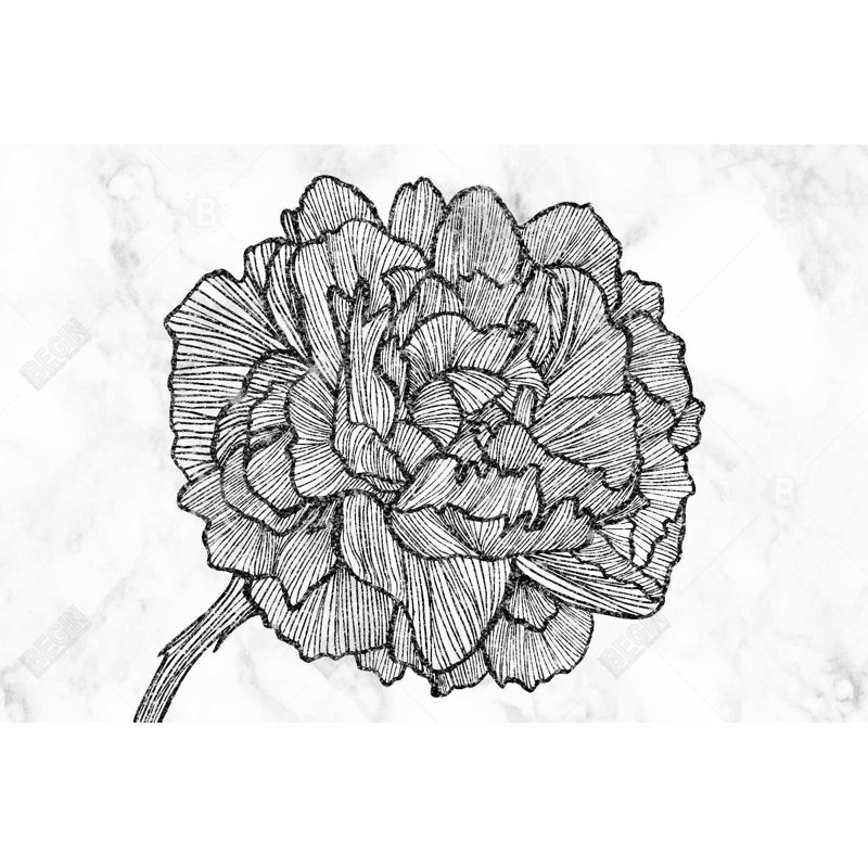 " Bright Peony "