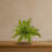 Fern Artificial Plant